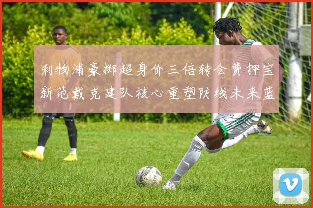 利物浦豪掷超身价三倍转会费押宝新范戴克建队核心重塑防线未来蓝图